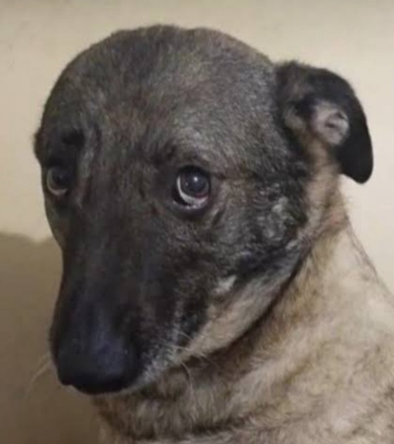 Babafingo3431 Avatar